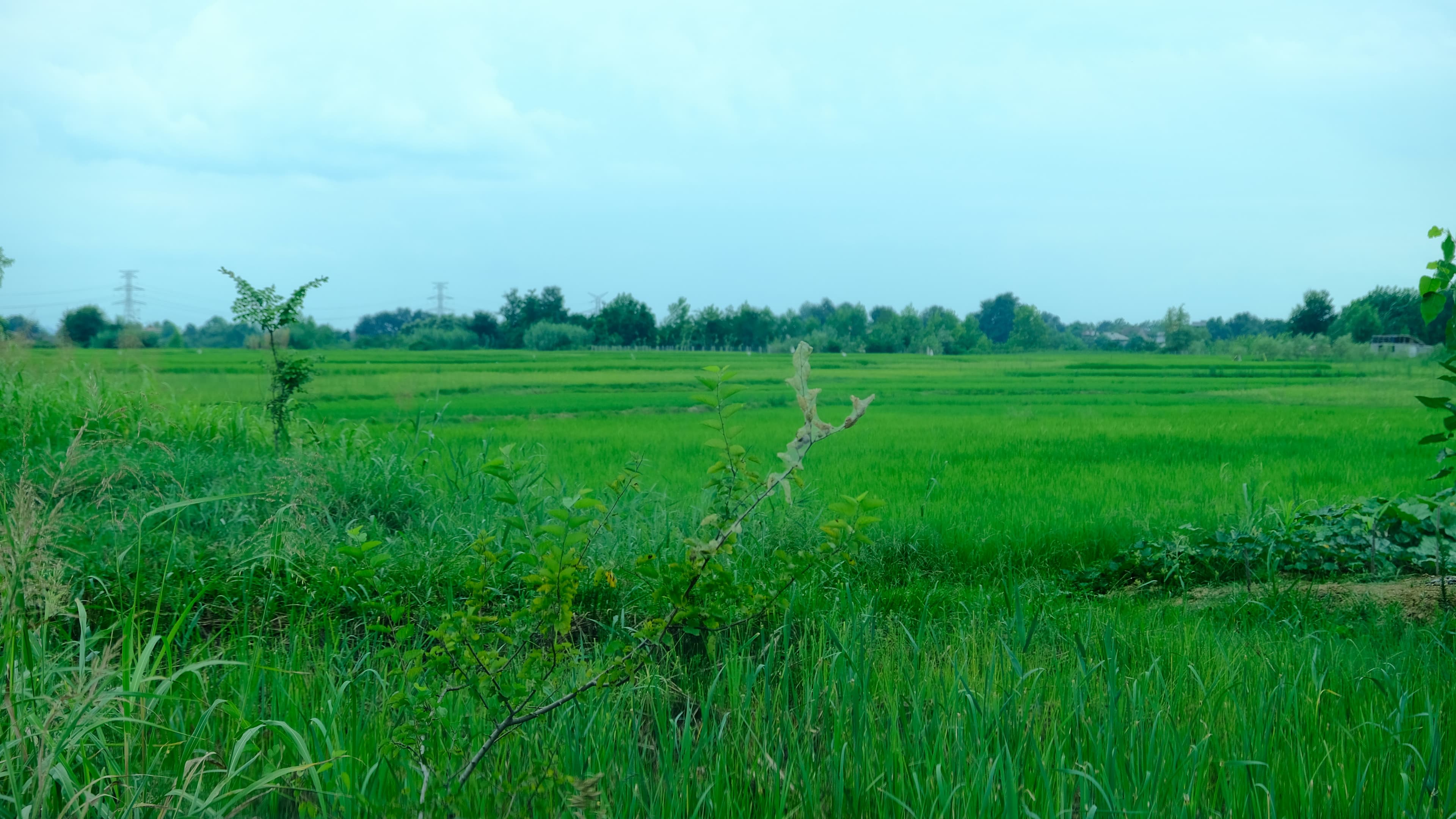 Plots / Land